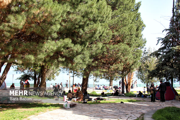 معجزه بهار در بستر پرآب سراب اساطیری نیلوفر کرمانشاه