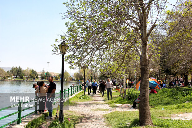 معجزه بهار در بستر پرآب سراب اساطیری نیلوفر کرمانشاه