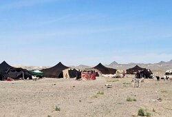 ۶۰۰ میلیارد ریال تسهیلات در اختیار عشایر قزوین قرار گرفت