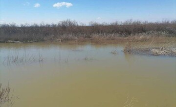 ثبت سه تالاب ملی در زنجان تا چند روز آینده