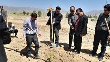 پویش نهال کاری به یاد رهبر شهید در خلیل آباد