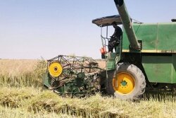 ۴۰۰میلیارد تومان سرمایه‌گذاری و بازسازی زیرساخت‌های کشاورزی در سال۱۴۰۴