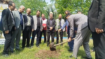 غرس ۸۷ اصله نهال به یاد رهبر شهید در آستانه‌اشرفیه