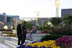 Imam Reza (AS) shrine on eve of Hazrat Masoumeh birth anniv.