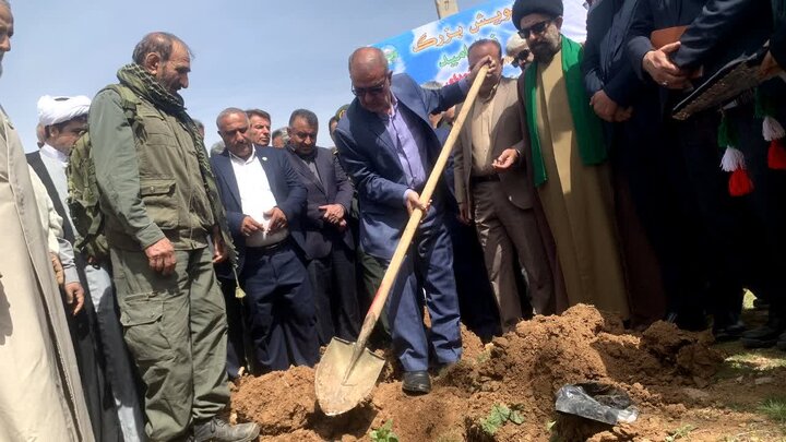کاشت ۲۰ هزار نهال در کهگیلویه و بویراحمد