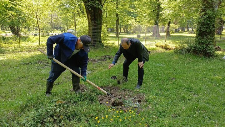 کاشت نهال به مناسبت سالروز تولد رهبر شهید در نوشهر