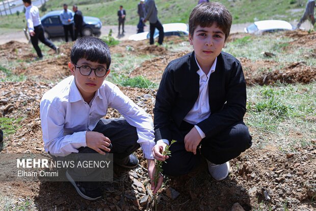 «سرو ایران»در آبیدر ریشه دواند؛روایت یک همدلی سبز به یاد شهدا در سنندج