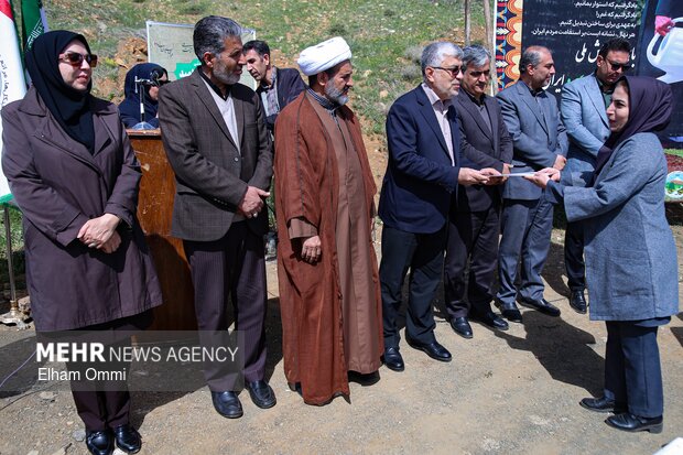 پویش «درختکاری سرو ایران» در سنندج