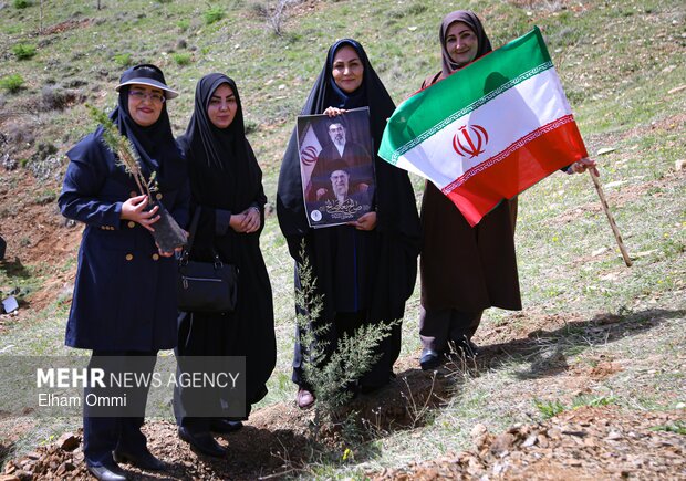 پویش «درختکاری سرو ایران» در سنندج