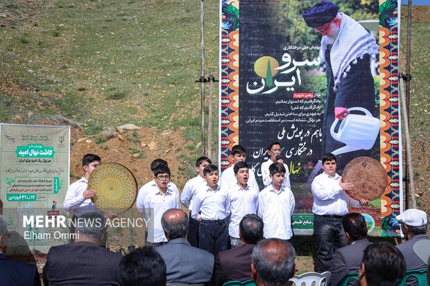 پویش «درختکاری سرو ایران» در سنندج