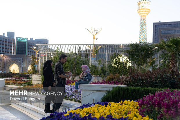 Imam Reza (AS) shrine on eve of Hazrat Masoumeh birth anniv.