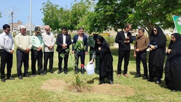 پویش ملی «سرو ایران» در گناوه اجرا شد