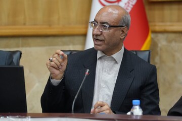 حبیبی: کوچه‌ها و منازل شهدا نشان‌دار می‌شوند