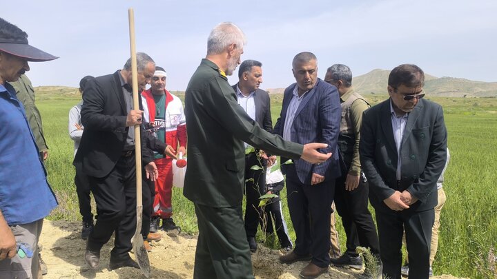 بسیجیان در کهگیلویه به یاد شهدای جنگ رمضان درخت کاشتند