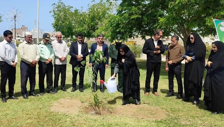 پویش ملی «سرو ایران» در گناوه اجرا شد