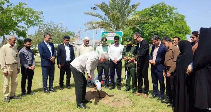 پویش ملی «سرو ایران» در گناوه اجرا شد