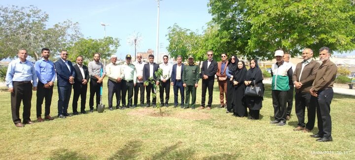 پویش ملی «سرو ایران» در گناوه اجرا شد