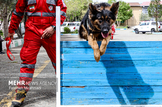 رزمایش امدادگران هلال احمر