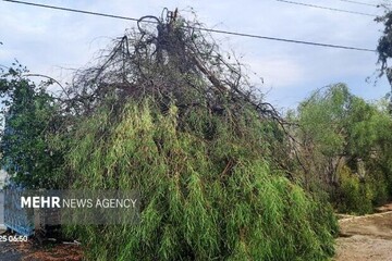وزش باد شدید در راه مرکزی؛ ناپایداری‌ هوا تا سه‌شنبه تداوم دارد