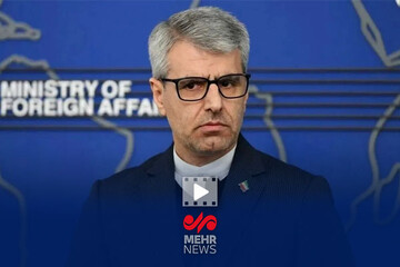 بقایی نشست خبری خود را با شعری در وصف وطن آغاز کرد