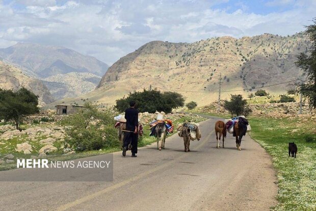 کوچ بهاره عشایر خوزستان شروع شد