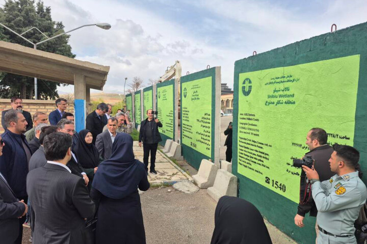 انصاری: گوزن زرد ایرانی گونه با ارزش باید صیانت شود