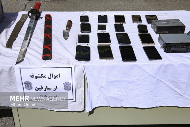 انهدام ۳ باند سرقت در سنندج