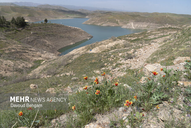 آخرین وضعیت آبی سد طرق مشهد
