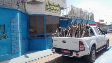 فیلی: ۳۸۰۰ کیلو چوب قاچاق بلوط در دیزل‌آباد کشف شد