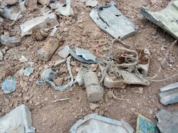 تصاویری از اولین شکار بسیجی های پرند در جنگ‌سوم