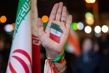 نجوای مردم دیار دارالمرحمه با امام هشتم