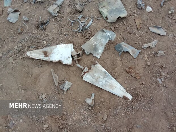 تصاویری از اولین شکار بسیجی های پرند در جنگ‌سوم