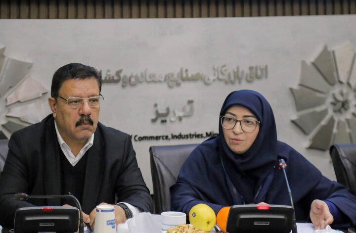 انصاری: صنعت و تولید باید همگام با محیط زیست رشد کند