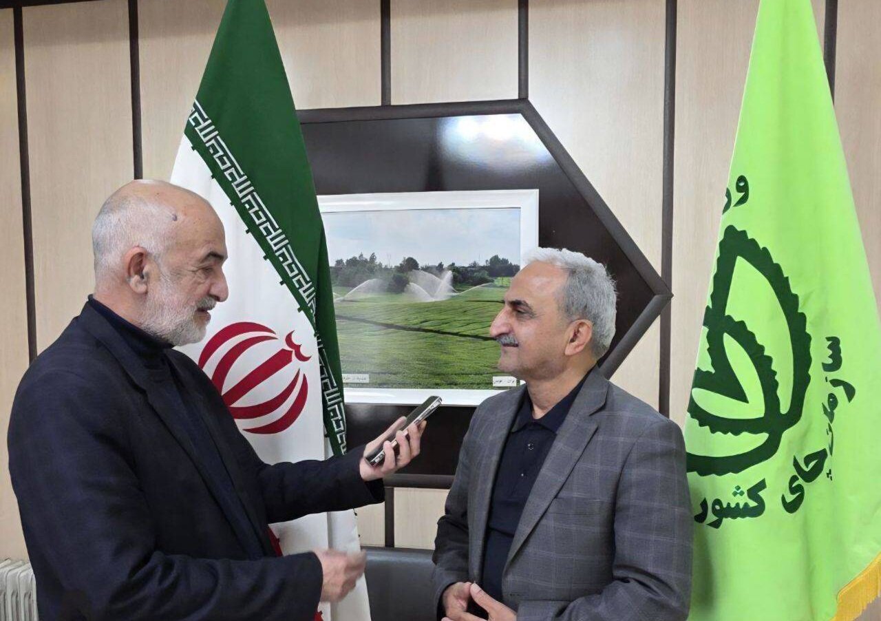 امضای قرار داد با ۱۲۰ کارخانه تولید چای در گیلان و مازندران به منظور خرید برگ سبز – خبرگزاری مهر | اخبار ایران و جهان امضای قرار داد با ۱۲۰ کارخانه تولید چای در گیلان و مازندران به منظور خرید برگ سبز – خبرگزاری مهر | اخبار ایران و جهان
