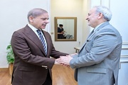 دیدار سفیر ایران در پاکستان با شهباز شریف