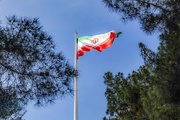 درختی که آغوش گشوده است