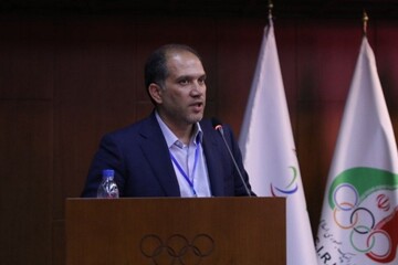 ناطق‌نوری: استقلال انجمن‌ها طبیعی است/ برخی با نظر وزارت ورزش جدا شدند