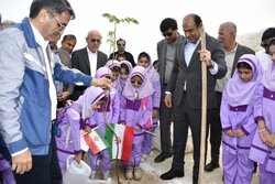 پویش «کاشت نهال سرو ایران» در عسلویه اجرا شد