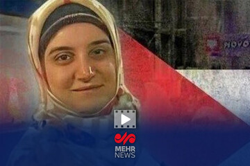 مهدیه اسفندیاری: به دستگاه دیپلماسی اطمینان داریم