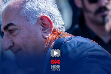 پذیرایی از رضا پهلوی با سس خرسی!