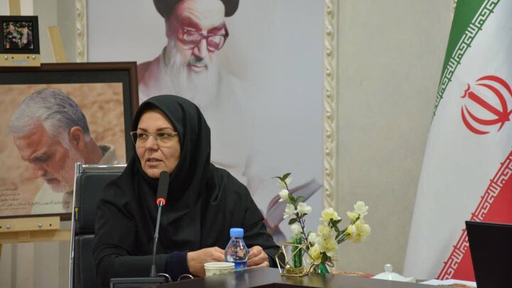 محمدی: نیمی از کتابخانه‌های کرمانشاه در جنگ رمضان فعال بودند