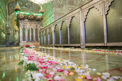 حرم شاهچراغ(ع) غرق در طنین شادی ولادت امام موسی کاظم(ع)