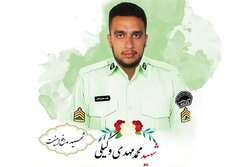 حکم قصاص قاتل شهید وکیلی اجرا شد