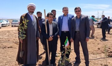 اصفهانی‌ها در پویش سرو ایران ۶۰ هزار اصله نهال کاشتند