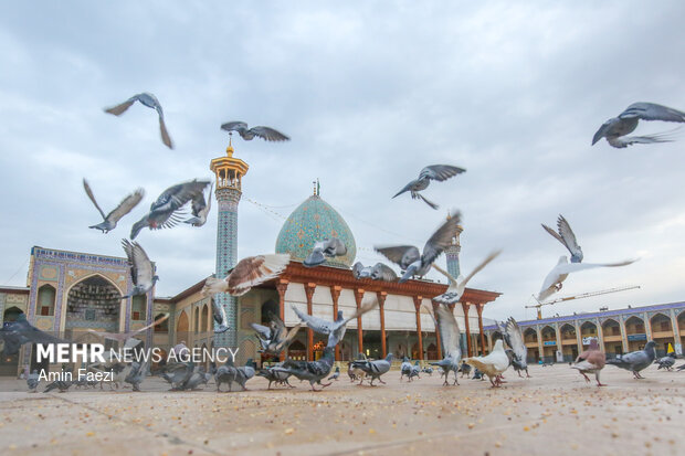 حضرت شاهچراغ(ع) پرچمدار جهاد تبیین است حضرت شاهچراغ(ع) پرچمدار جهاد تبیین است