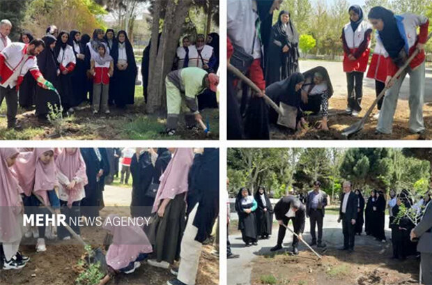 تهران نفس تازه میکند؛ آغاز موج جدید درختکاری برای مهار آلودگی و گرما