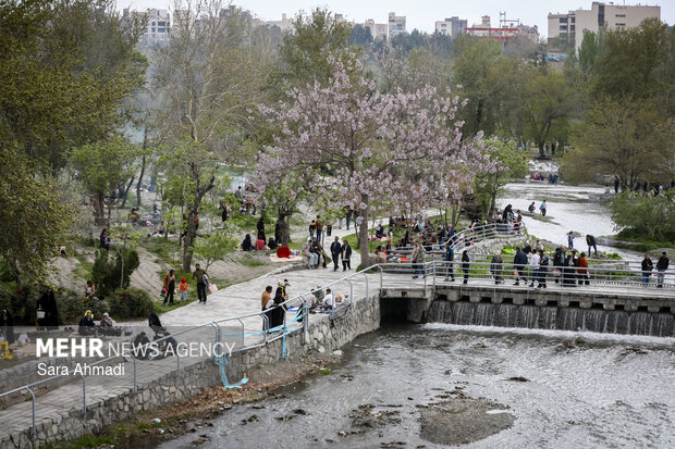 رودخانه وکیل‌آباد مشهد