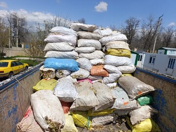 کشف ۷ تن گیاه مرتعی قاچاق در مریوان
