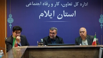 جذب ۵۲ درصدی اعتبارات مشاغل خرد و خانگی در ایلام