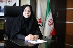 سرپرست بنیاد شهید استان تهران: اتحاد ملت ایران مرهون خون شهدا است